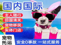 常州航空托运国际宠物托运 【国